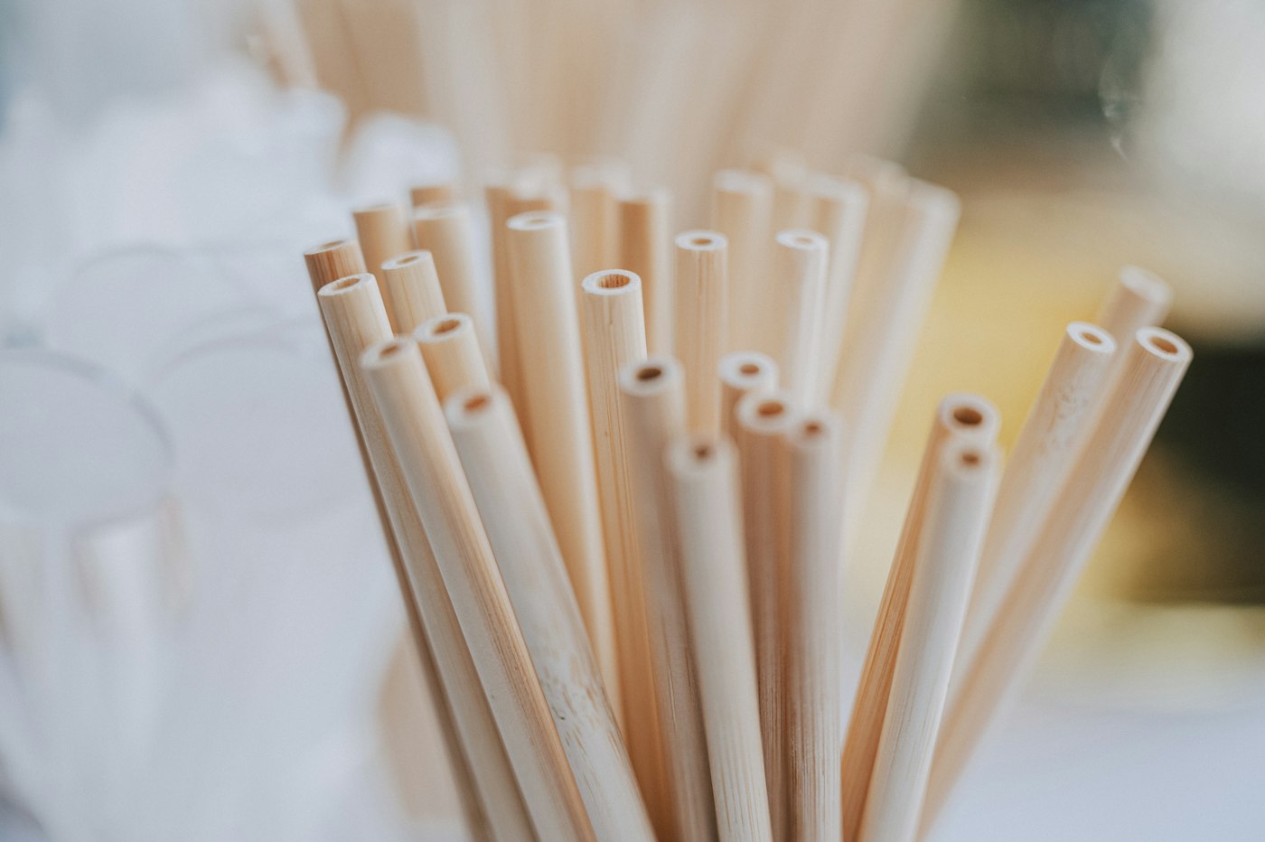 Ống hút sinh học